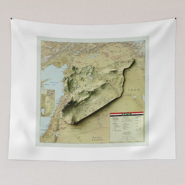 Item preview, 2004 Syria Relief Map 3D digitally-rendered designed and sold by ThinkAboutMaps.