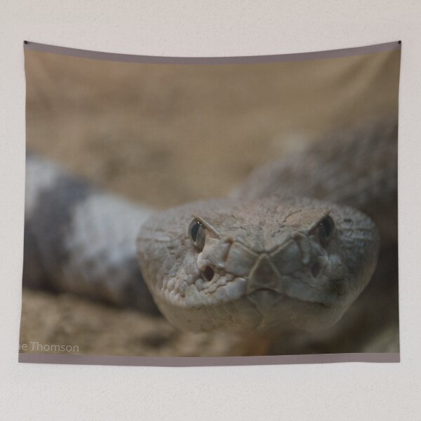 Item preview, If It Were A Snake... designed and sold by Wayne Thomson.