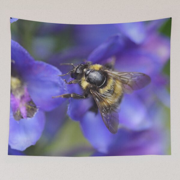 Item preview, Bombus hortorum On Delphinium sp. designed and sold by Mythos57.