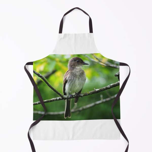 Item preview, Eastern Phoebe (Sayornis phoebe) designed and sold by Zoologe.
