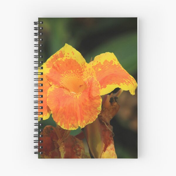 Item preview, Orange and Yellow Flower in a Garden designed and sold by rhamm.