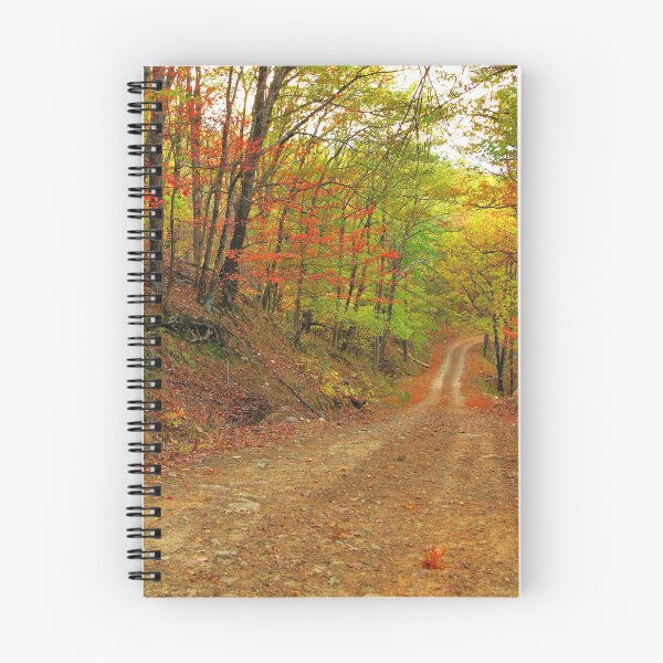Item preview, Rainbow Lane designed and sold by JohnDSmith.