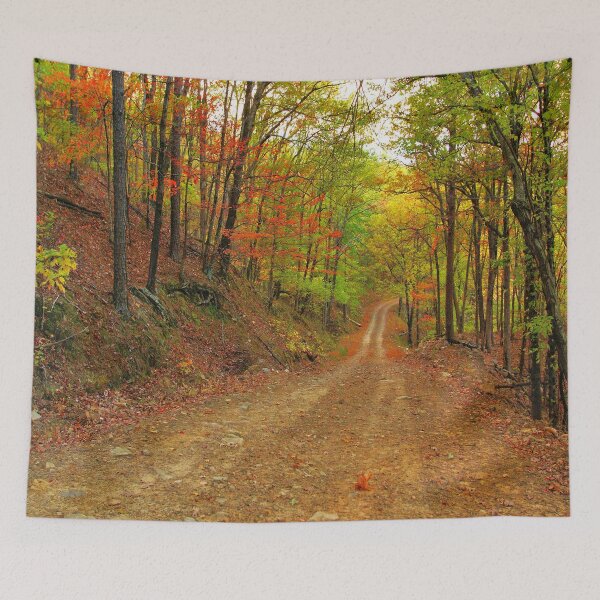 Item preview, Rainbow Lane designed and sold by JohnDSmith.