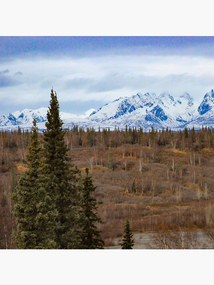 Denali-Gebirge von jupiterarts