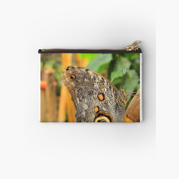 Item preview, Owl Butterfly on a Branch designed and sold by rhamm.