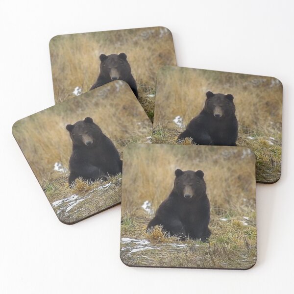 Item preview, Brown bear designed and sold by Guardi71.