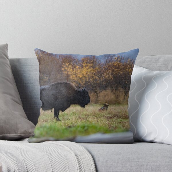 Item preview, Wild Alaska Bison designed and sold by jupiterarts.