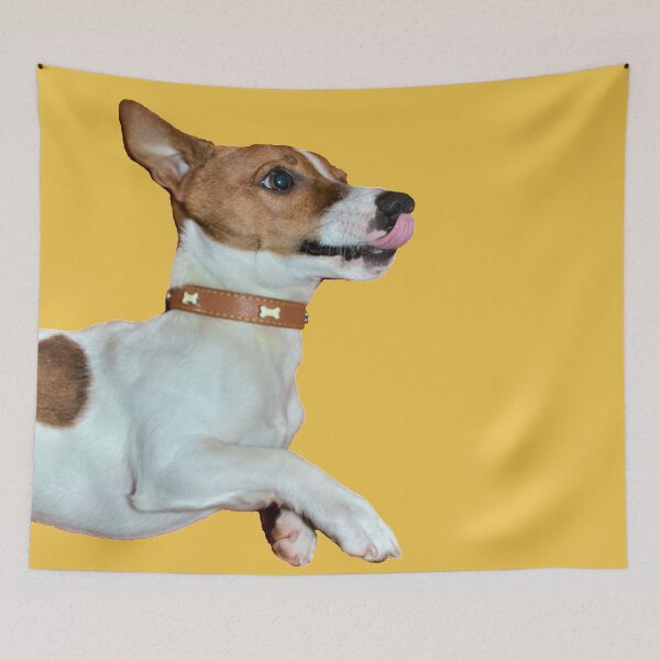 Item preview, Jack russell terrier designed and sold by C.T. Photography.
