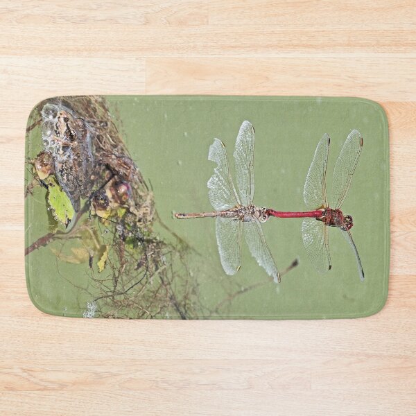 Item preview, 2579/  4  Libellules-Dragonflies " Equilibriste, mais danger grenouille ! "  finition 2020 par Okaio Créations - Olavia&Olao  designed and sold by o.okaïo.