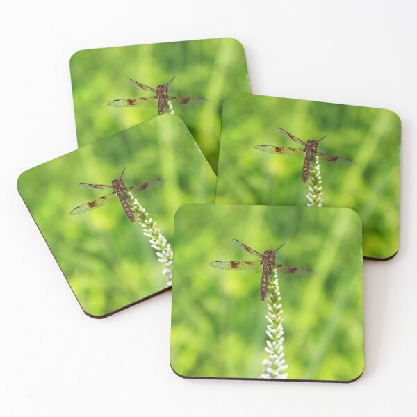 Item preview, Eastern Amberwing (Perithemis tenera) designed and sold by Zoologe.