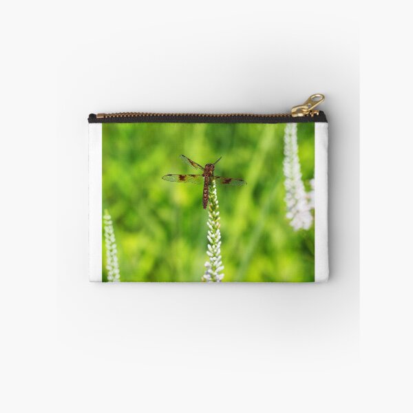 Item preview, Eastern Amberwing (Perithemis tenera) designed and sold by Zoologe.
