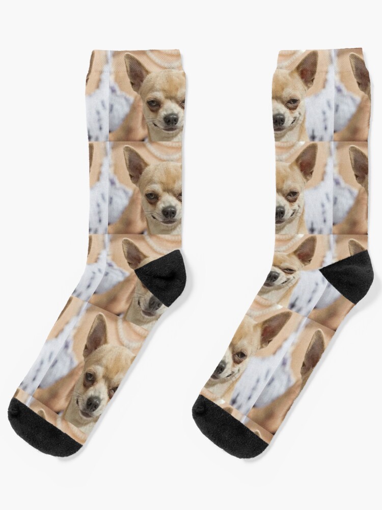 Grinning Chihuahua funny dog  Leggings for Sale by MindChirp
