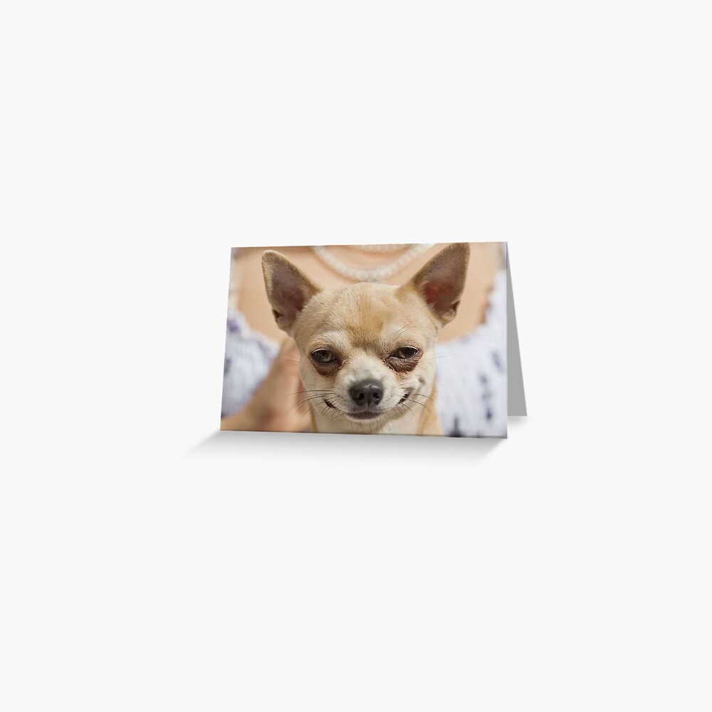 Grinning Chihuahua funny dog  Leggings for Sale by MindChirp