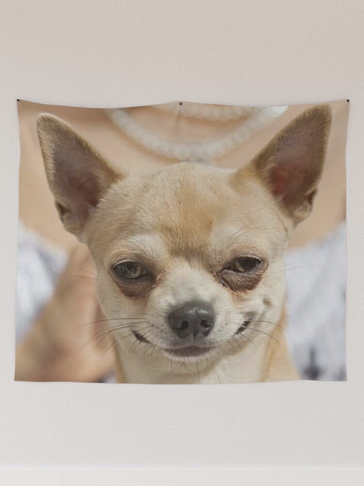 Grinning Chihuahua funny dog  Leggings for Sale by MindChirp