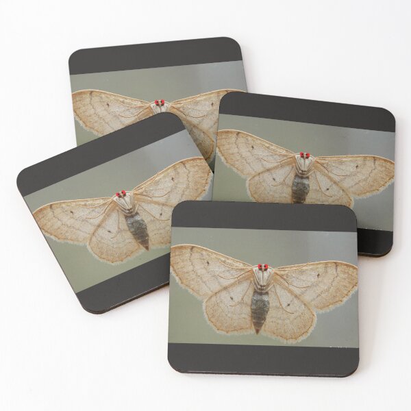 Item preview, A moth lookin' designed and sold by FrankieLassut.
