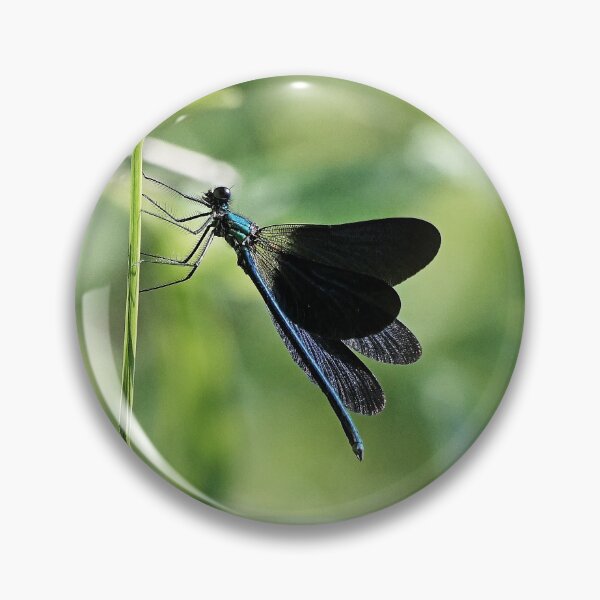 Item preview, 2580/  5  Libellules-Dragonflies " Un Envol Bleu  majestueux "  finition 2020 par Okaio Créations - Olavia&Olao designed and sold by o.okaïo.