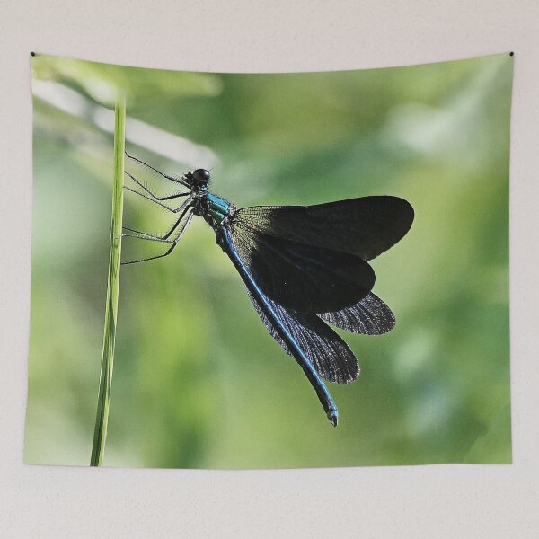 Item preview, 2580/  5  Libellules-Dragonflies " Un Envol Bleu  majestueux "  finition 2020 par Okaio Créations - Olavia&Olao designed and sold by o.okaïo.