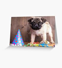 Happy Birthday Blank Greeting Card Greeting Card
