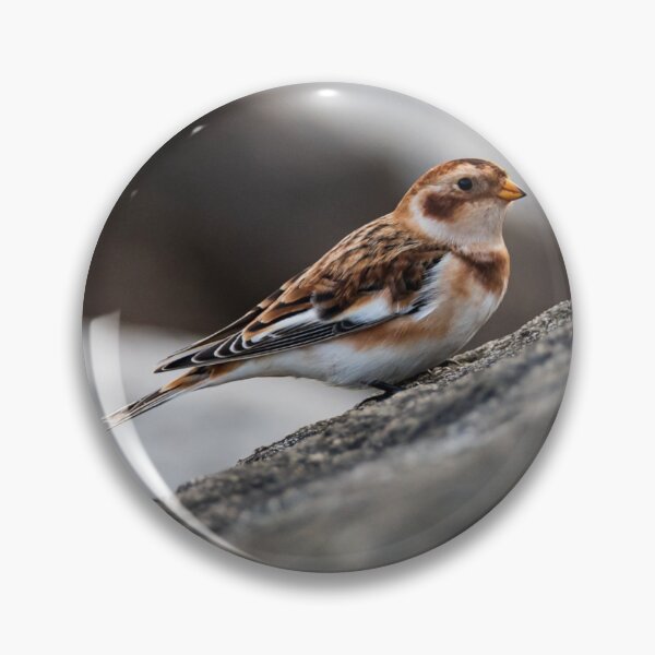 Item preview, snow bunting on a rock designed and sold by jning.
