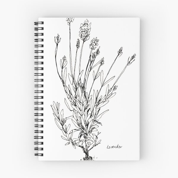 Item preview, Lavender designed and sold by hydrenga.