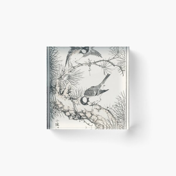 Item preview, japanese willow tit and pine tree illustration 43380644541 designed and sold by Bird-Lore.