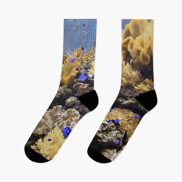 Item preview, Ocean Calling - Blue Tangs in Coral Reef designed and sold by CheraeLynn.