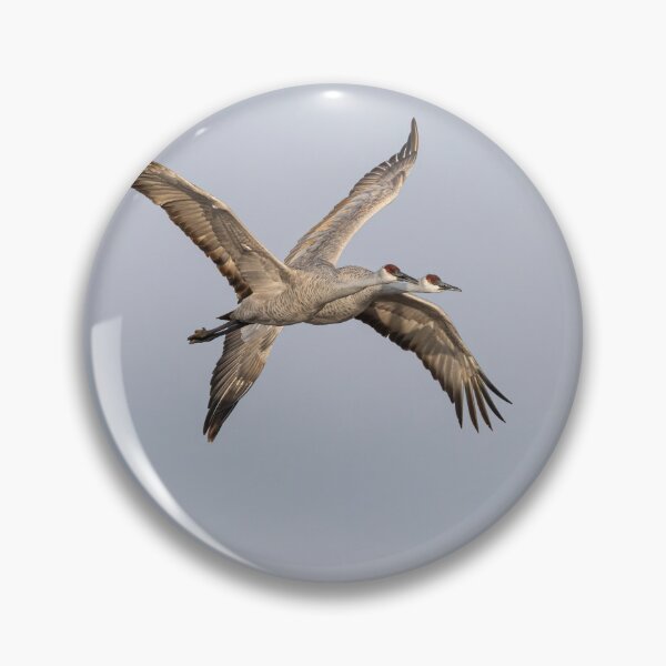 Item preview, Sandhill Cranes In Flight 2020-2 designed and sold by Thomasyoung.