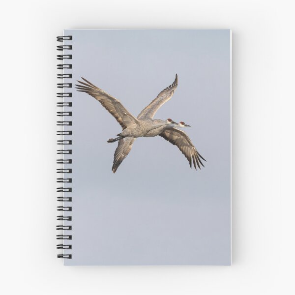 Item preview, Sandhill Cranes In Flight 2020-2 designed and sold by Thomasyoung.