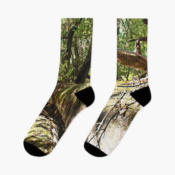 Item preview, Fotografía de naturaleza en la temporada de otoño. designed and sold by Ventures1.
