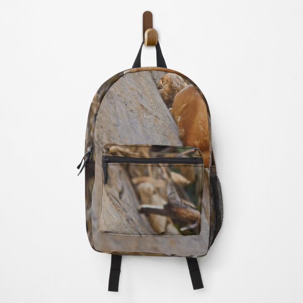 Item preview, Nature photography in the fall season designed and sold by Ventures1.