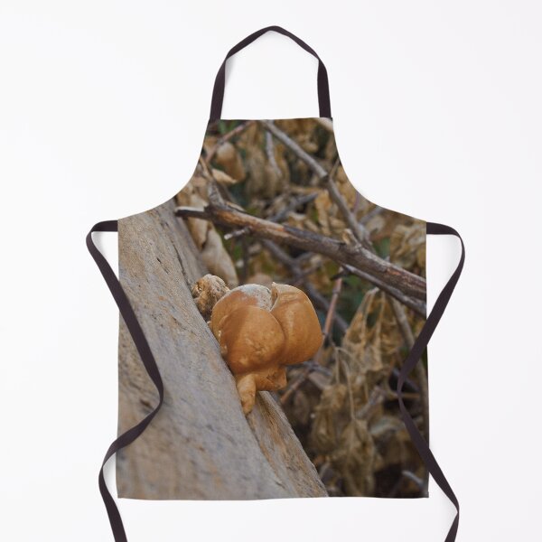 Item preview, Nature photography in the fall season designed and sold by Ventures1.