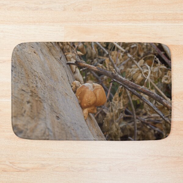Item preview, Nature photography in the fall season designed and sold by Ventures1.
