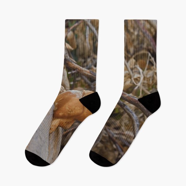 Item preview, Nature photography in the fall season designed and sold by Ventures1.