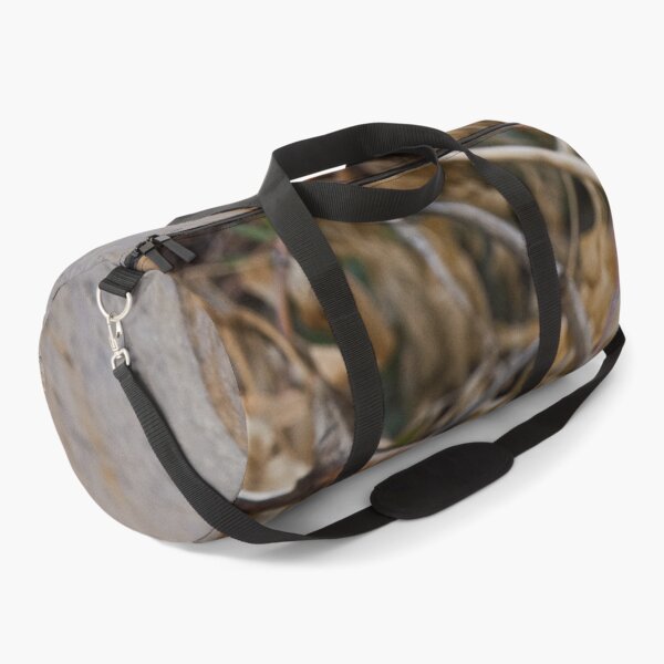 Item preview, Nature photography in the fall season designed and sold by Ventures1.