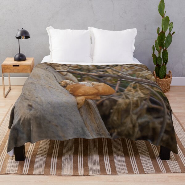Item preview, Nature photography in the fall season designed and sold by Ventures1.