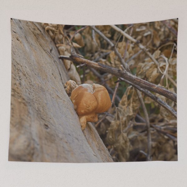 Item preview, Nature photography in the fall season designed and sold by Ventures1.