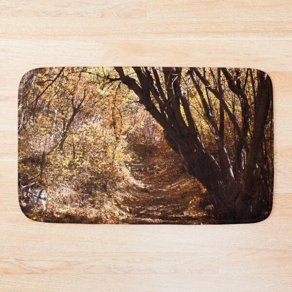 Item preview, Nature photography in the fall season designed and sold by Ventures1.