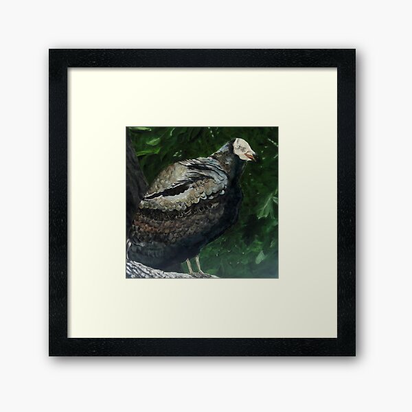 Rebob Ancestor Turkey Vulture Framed Art Print