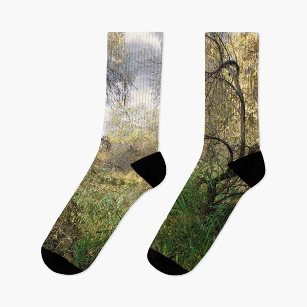 Item preview, Nature photography in the fall season designed and sold by Ventures1.