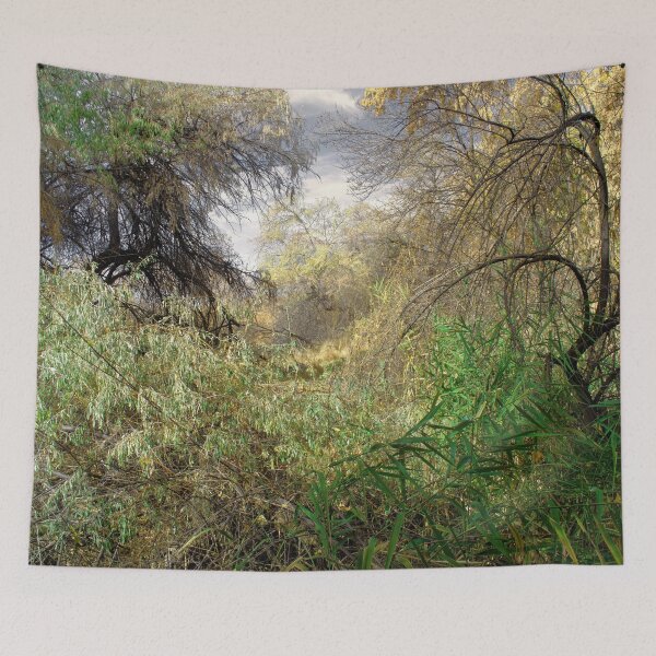 Item preview, Nature photography in the fall season designed and sold by Ventures1.