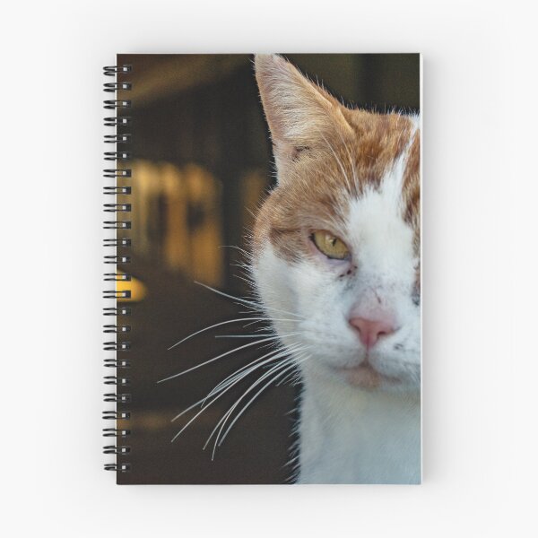 Item preview, I'm the Boss designed and sold by Imalairdphotos.