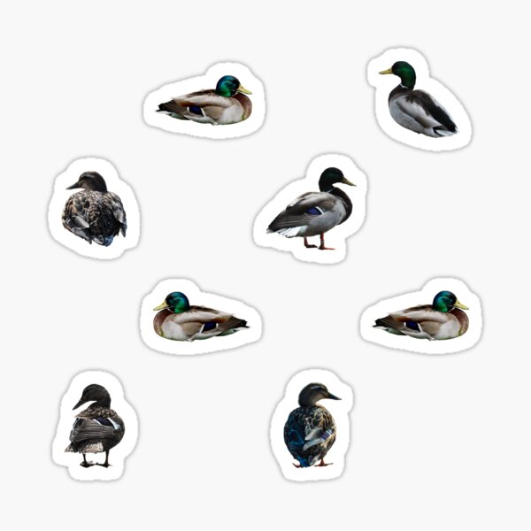 Item preview, Mallard Duck Pattern Print designed and sold by Robert Link.