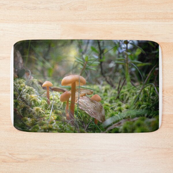 Item preview, A Fairy Glen designed and sold by Imalairdphotos.