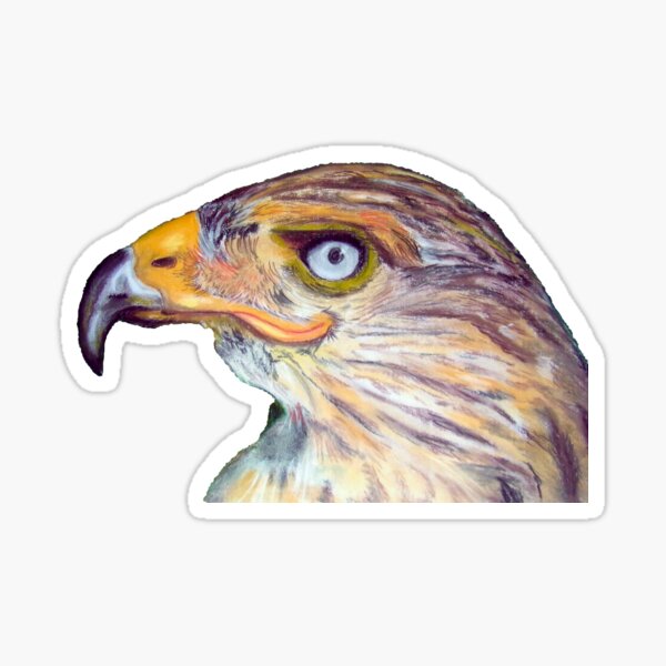 Aguila / Eagle Pegatina