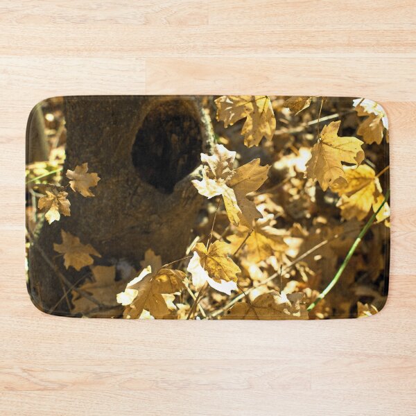 Item preview, Nature photography in the fall season designed and sold by Ventures1.