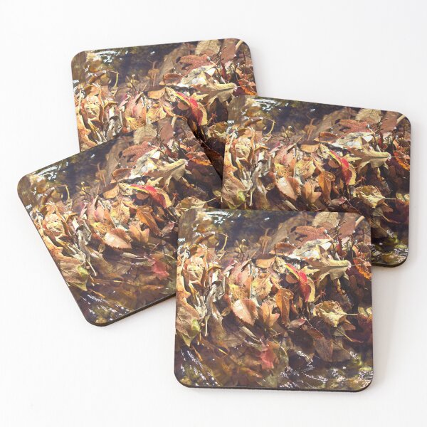 Item preview, Nature photography in the fall season designed and sold by Ventures1.