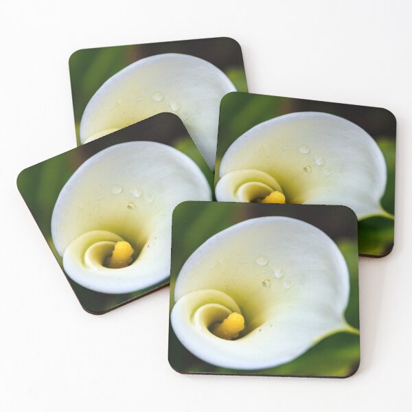 Item preview, White calla lily flower designed and sold by SvetlanaSF.