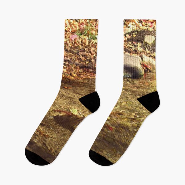 Item preview, Nature photography in the fall season designed and sold by Ventures1.