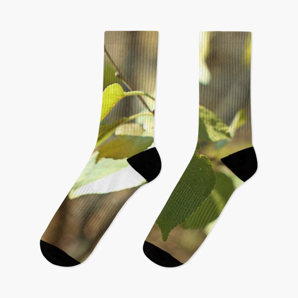 Item preview, Nature photography in the fall season designed and sold by Ventures1.