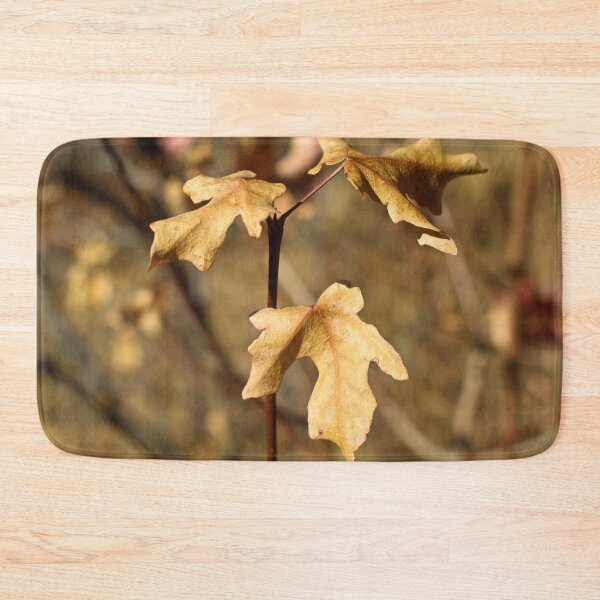 Item preview, Nature photography in the fall season designed and sold by Ventures1.